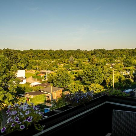 Doppelhaus- Villa Leipzig Schleussig , Moderner Altbau Apartment Dachetage Mit 2 Schlafzimmern Und Separatem Zusatzzimmer , Parkplatz - Balkon - Kamin - Eicheparkett - Arbeitsplatz Buitenkant foto