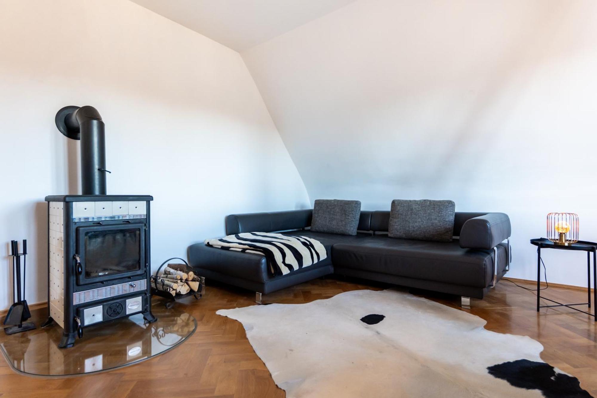 Doppelhaus- Villa Leipzig Schleussig , Moderner Altbau Apartment Dachetage Mit 2 Schlafzimmern Und Separatem Zusatzzimmer , Parkplatz - Balkon - Kamin - Eicheparkett - Arbeitsplatz Buitenkant foto